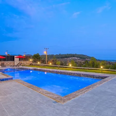 Royal Blue Patara - Royal 1 *